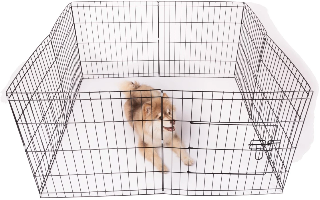 Active Canis Dog Cage Pentuaitaus 112x112x61 Cm 4 Active Canis Dog Cage Pentuaitaus 112x112x61 Cm - Image 2