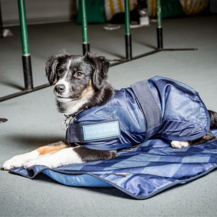 Back On Track Cool On Track Viilennystakki, Sininen 40 Cm 4 Back On Track Cool On Track Viilennystakki, Sininen 40 Cm - Image 2