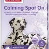 Beaphar Calming Spot Rauhoittavat Pipetit Koirille -TRIXIE kauppa beaphar calming spot on hund 1 0