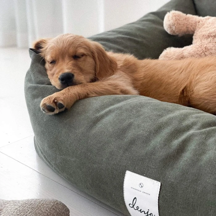 Denjo Dogs Classic Nest Dog Bed Koiranpeti, M, Maastonvihreä 7 Denjo Dogs Classic Nest Dog Bed Koiranpeti, M, Maastonvihreä - Image 5