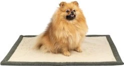 Denjo Dogs Koiran Makuualusta, S, Maastonvihreä -TRIXIE kauppa denjo dogs resefilt snuggle s morkgron 6