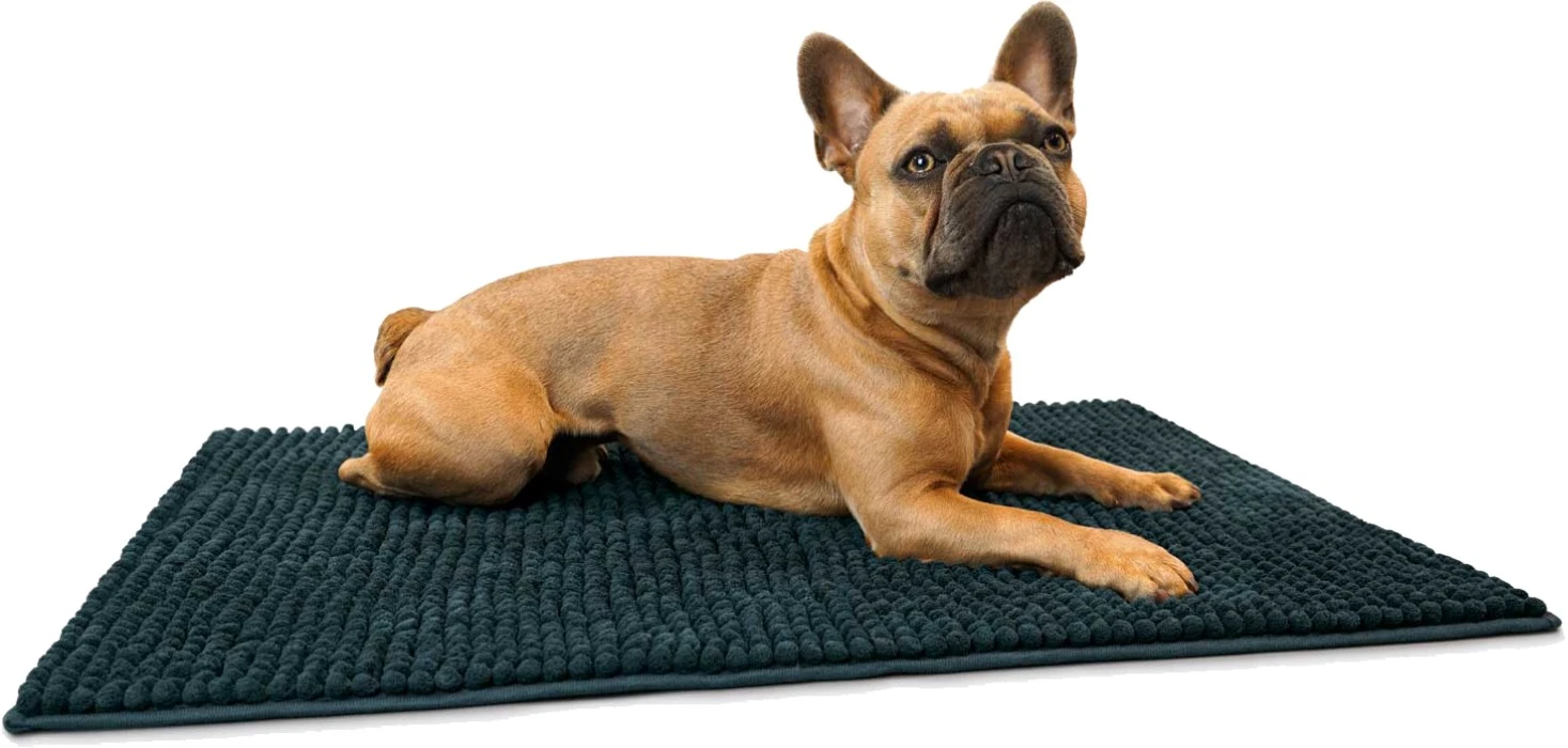 HUNTER Koiran Kuramatto, Tummanharmaa, M 7 HUNTER Koiran Kuramatto, Tummanharmaa, M - Image 5