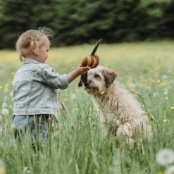 HUNTER Dog Toy Florenz Bee Koiranlelu 9 HUNTER Dog Toy Florenz Bee Koiranlelu -TRIXIE kauppa hunter dog toy florenz bee 2