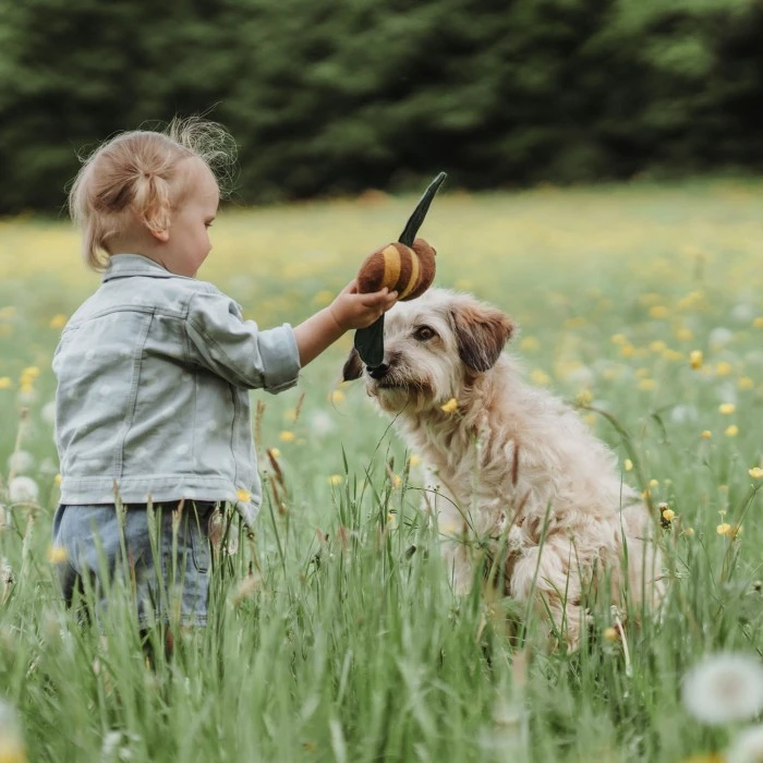 HUNTER Dog Toy Florenz Bee Koiranlelu 5 HUNTER Dog Toy Florenz Bee Koiranlelu - Image 3