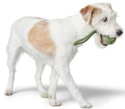 HUNTER Inari Toy Dog Ball Koiran Heittolelu, M, Linden Green -TRIXIE kauppa hunter inari toy dog ball m linden green 2