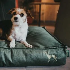 HUNTER Merida Cushion Orthopedic Koiranpeti, 75 X 50 Cm, Olive Green -TRIXIE kauppa hunter merida cushion orthopedic 75x50 cm olive green 7