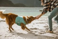 Hurtta Cooling Wrap Koiran Viilennysliivit, 45–55 Cm, Vaaleansininen 9 Hurtta Cooling Wrap Koiran Viilennysliivit, 45–55 Cm, Vaaleansininen -TRIXIE kauppa hurtta cooling wrap 45 55 aquamarine 2