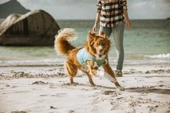 Hurtta Cooling Wrap Koiran Viilennysliivit, 45–55 Cm, Vaaleansininen 10 Hurtta Cooling Wrap Koiran Viilennysliivit, 45–55 Cm, Vaaleansininen -TRIXIE kauppa hurtta cooling wrap 45 55 aquamarine 3