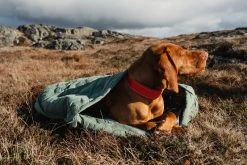 Hurtta Outback Dreamer ECO Hedge L -TRIXIE kauppa hurtta outback dreamer eco hedge l 2