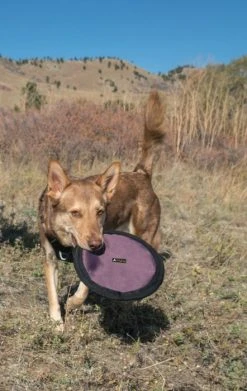 OllyDog Flyer Disc Raven -TRIXIE kauppa ollydog flyer disc raven 3