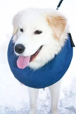 PetNation Iho-/haava-/korvasuihke PetNation Easy Care 100 Ml -TRIXIE kauppa petnation hundkrage easy care uppblasbar 2