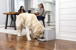 PetSafe Teach & Treat Remote Reward Trainer Kauko-ohjattava Palkitsemislaite 19 PetSafe Teach & Treat Remote Reward Trainer Kauko-ohjattava Palkitsemislaite -TRIXIE kauppa petsafe teach treat remote reward trainer 8