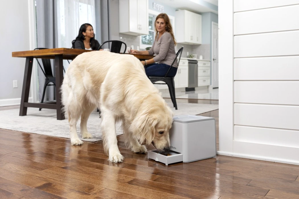 PetSafe Teach & Treat Remote Reward Trainer Kauko-ohjattava Palkitsemislaite 11 PetSafe Teach & Treat Remote Reward Trainer Kauko-ohjattava Palkitsemislaite - Image 9