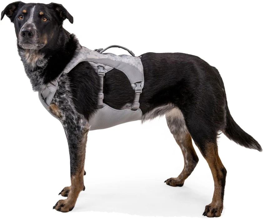 RuffWear Swamp Cooler Harness Viilentävät Valjaat, Grafiitin Harmaa 4 RuffWear Swamp Cooler Harness Viilentävät Valjaat, Grafiitin Harmaa - Image 2
