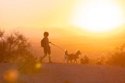 RuffWear Swamp Cooler Harness Viilentävät Valjaat, Pastellinvihreä -TRIXIE kauppa ruffwear swamp cooler harness sage green 7