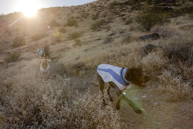 RuffWear Swamp Cooler Neck Gaiter Koirien Viilennyskauluri 6 RuffWear Swamp Cooler Neck Gaiter Koirien Viilennyskauluri - Image 4