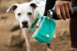 RuffWear Swamp Cooler Neck Gaiter Koirien Viilennyskauluri 15 RuffWear Swamp Cooler Neck Gaiter Koirien Viilennyskauluri -TRIXIE kauppa ruffwear swamp cooler neck gaiter aurora tealheliotrope purple 5