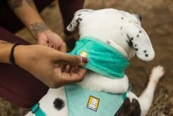 RuffWear Swamp Cooler Neck Gaiter Koirien Viilennyskauluri 16 RuffWear Swamp Cooler Neck Gaiter Koirien Viilennyskauluri -TRIXIE kauppa ruffwear swamp cooler neck gaiter aurora tealheliotrope purple 6