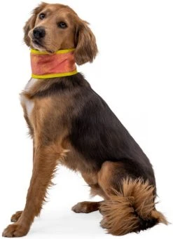 RuffWear Swamp Cooler Neck Gaiter Koirien Viilennyskauluri