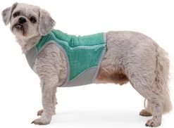 RuffWear Swamp Cooler Zip Vest Koiran Viilentävä Liivi -TRIXIE kauppa ruffwear swamp cooler zip vest aurora teal 0