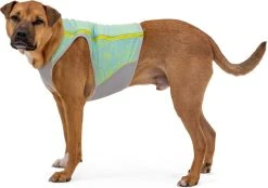 RuffWear Swamp Cooler Zip Vest Koiran Viilentävä Liivi