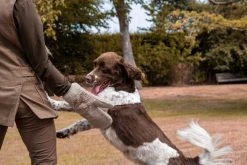 Siccaro Dryglove Kuivauskäsineet, Sand 2 Kpl -TRIXIE kauppa siccaro dryglove sand pair 3