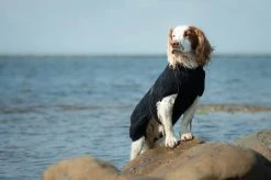 Siccaro Smart Drying Robe Kuivausloimi, Musta 55 Cm -TRIXIE kauppa siccaro smart drying robe jetblack 55 cm 7