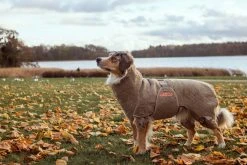 Siccaro Solution Kuivausloimi, Sand 40 (M) -TRIXIE kauppa siccaro solution drying robe sand 40 m 3