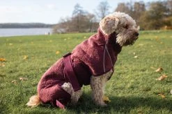 Siccaro Solution Kuivausloimi, Zinfandel Red 40 (M) 12 Siccaro Solution Kuivausloimi, Zinfandel Red 40 (M) -TRIXIE kauppa siccaro solution drying robe zinfandel red 40 m 2