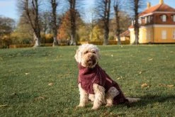 Siccaro Solution Kuivausloimi, Zinfandel Red 40 (M) 13 Siccaro Solution Kuivausloimi, Zinfandel Red 40 (M) -TRIXIE kauppa siccaro solution drying robe zinfandel red 40 m 3