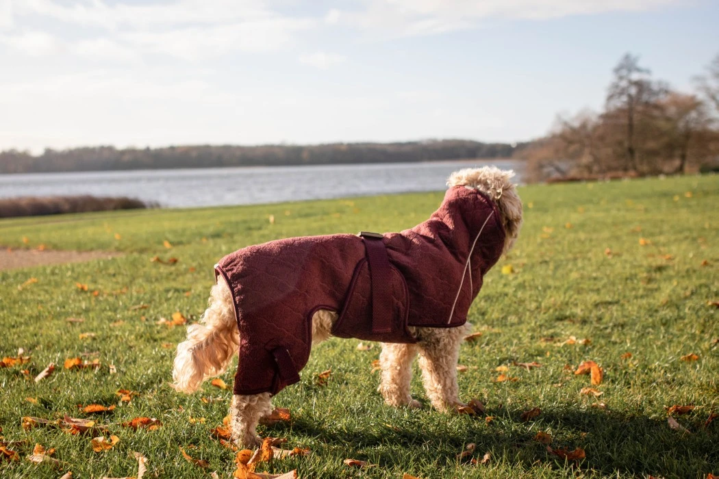 Siccaro Solution Kuivausloimi, Zinfandel Red 40 (M) 9 Siccaro Solution Kuivausloimi, Zinfandel Red 40 (M) - Image 7