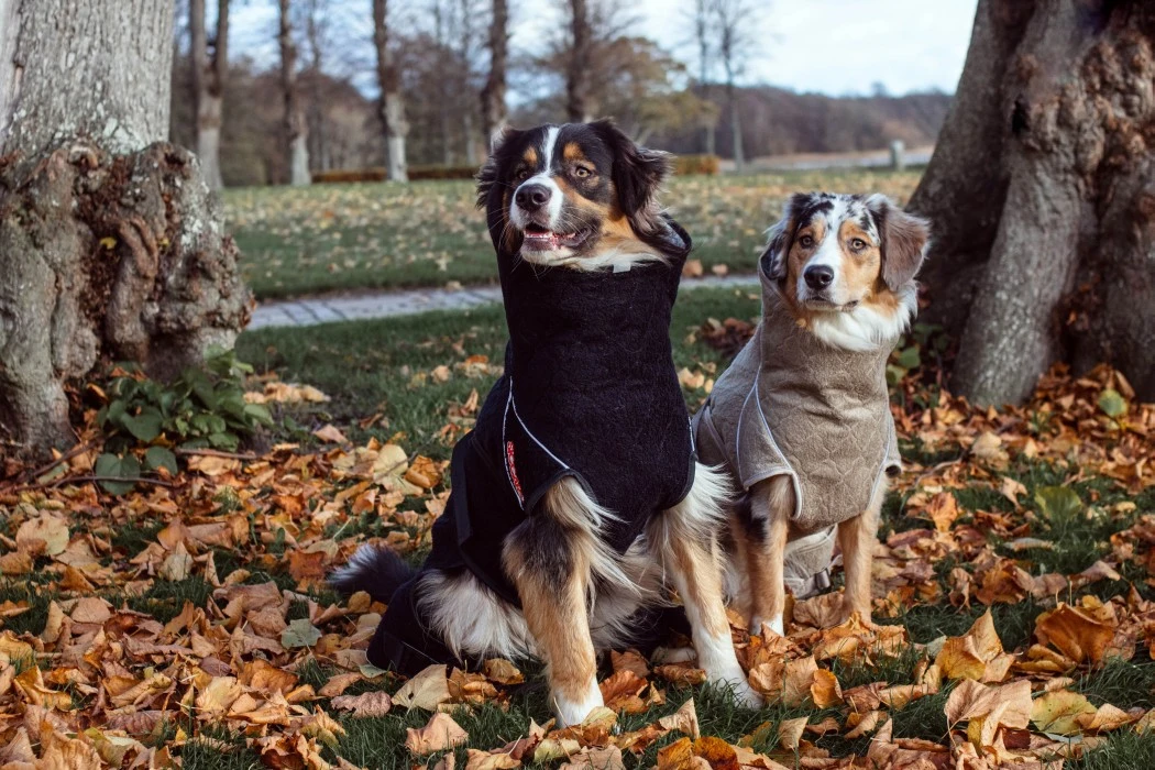 Siccaro Solution Kuivausloimi, Zinfandel Red 40 (M) 10 Siccaro Solution Kuivausloimi, Zinfandel Red 40 (M) - Image 8