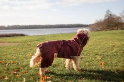 Siccaro Solution Kuivausloimi, Zinfandel Red 50 (L) -TRIXIE kauppa siccaro solution drying robe zinfandel red 50 l 4