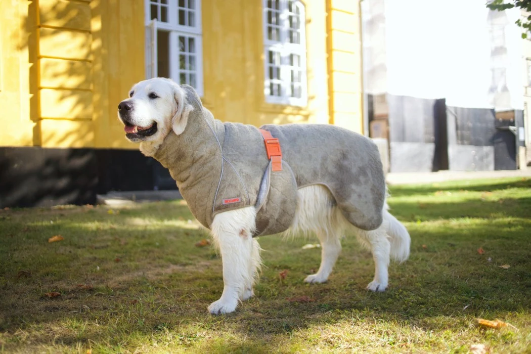 Siccaro SupremePro 2.0 Koiran Kuivausloimi, 50 Cm, Vaaleanruskea 4 Siccaro SupremePro 2.0 Koiran Kuivausloimi, 50 Cm, Vaaleanruskea - Image 2