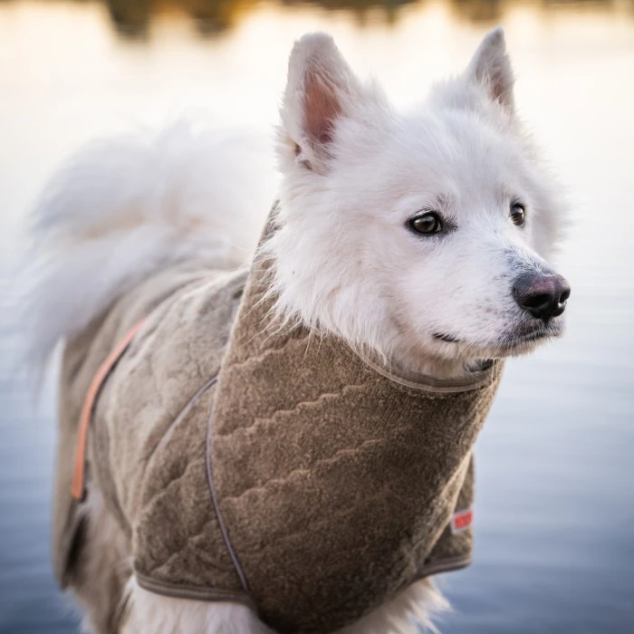 Siccaro SupremePro 2.0 Koiran Kuivausloimi, 50 Cm, Vaaleanruskea 7 Siccaro SupremePro 2.0 Koiran Kuivausloimi, 50 Cm, Vaaleanruskea - Image 5