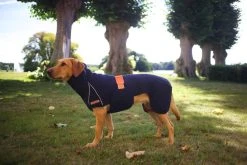 Siccaro SupremePro 2.0 Koiran Kuivausloimi, 60 Cm, Vaaleanharmaa -TRIXIE kauppa siccaro supremepro 2 0 granit 60 cm 1 3