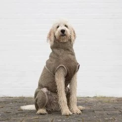 Siccaro WetDog SupremePro Koiran Kylpytakki, M Elmwood -TRIXIE kauppa siccaro wetdog supremepro elmwood m 2