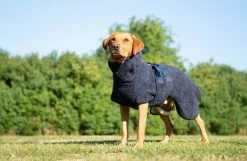 Siccaro WetDog SupremePro Koiran Kylpytakki, XXL Graniitinharmaa -TRIXIE kauppa siccaro wetdog supremepro granite xxl 4