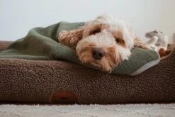 Swaggin Tails Drömmig Koiranpeti, S, Vaaleanharmaa -TRIXIE kauppa swaggin tails drommig molnvit s 2