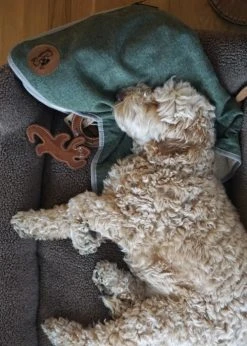 Swaggin Tails Koiranpeitto, Tummanharmaa -TRIXIE kauppa swaggin tails plad rymdgra m 4