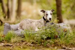 Swaggin Tails Koiranpeti Memory Foam -vaahdolla L, Harmaa -TRIXIE kauppa swaggin tails somnig rymdgra l 4