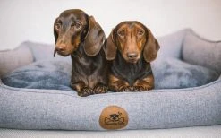 Swaggin Tails Koiranpeti Memory Foam -vaahdolla S, Harmaa -TRIXIE kauppa swaggin tails somnig rymdgra s 3