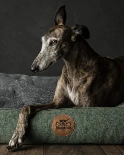 Swaggin Tails Koiranpeti Memory Foam -vaahdolla M, Vihreä -TRIXIE kauppa swaggin tails somnig skogsgron m 5