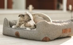 Swaggin Tails Koiranpeti Memory Foam -vaahdolla M, Vihreä -TRIXIE kauppa swaggin tails somnig skogsgron m 6