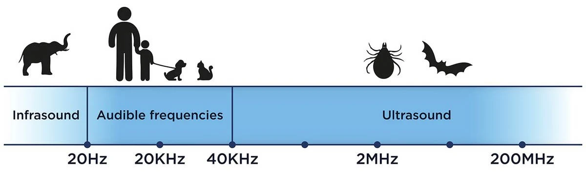 Tickless MINI DOG 11 Tickless MINI DOG - Image 9