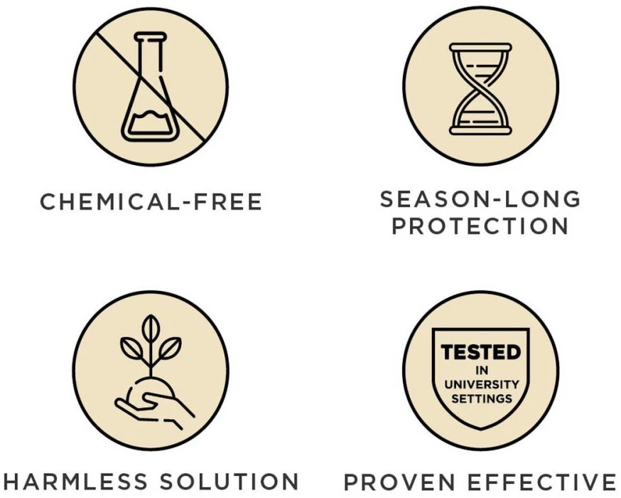 Tickless MINI DOG 10 Tickless MINI DOG - Image 8