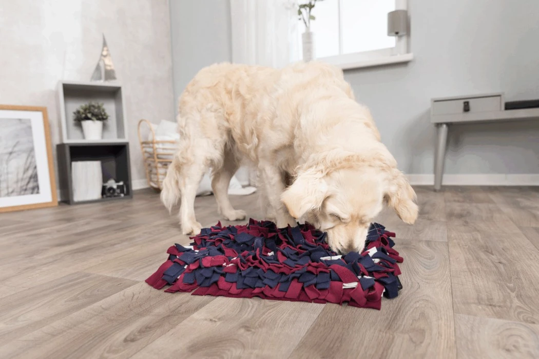 Trixie Activity Sniffing Carpet -aktivointilelu 50 X 34 Cm 4 Trixie Activity Sniffing Carpet -aktivointilelu 50 X 34 Cm - Image 2