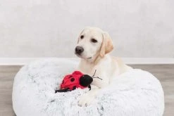 Trixie Dyna Harvey Ø100 Cm Valkoinen/Musta 7 Trixie Dyna Harvey Ø100 Cm Valkoinen/Musta -TRIXIE kauppa trixie dyna harvey o100 cm vitsvart 1