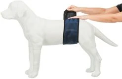 Trixie Urosvyö, S - M, Tummansininen -TRIXIE kauppa trixie hanhundsskydd morkbla s m 6