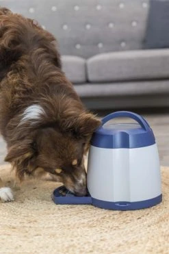 Trixie Memory Trainer 2.0 -aktivointilelu -TRIXIE kauppa trixie memory trainer 2 0 niva 3 3